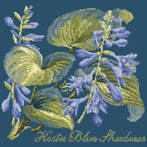 Hosta Blue Shadows