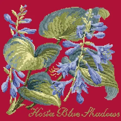 Hosta Blue Shadows