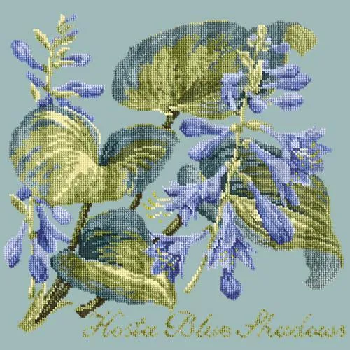 Hosta Blue Shadows