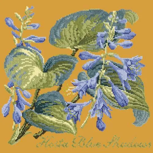 Hosta Blue Shadows