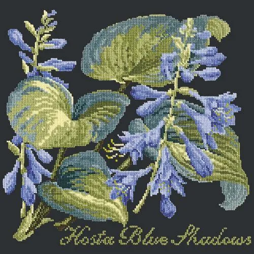 Hosta Blue Shadows