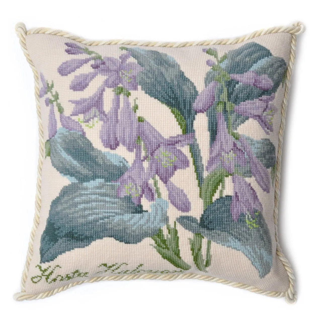 Hosta Halcyon