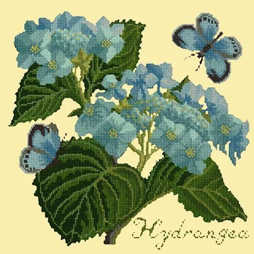 Hydrangea