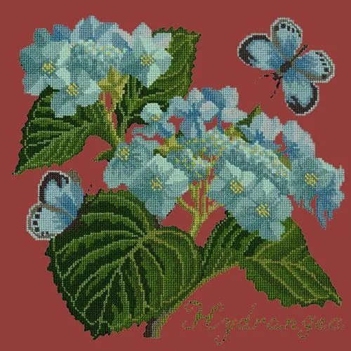 Hydrangea