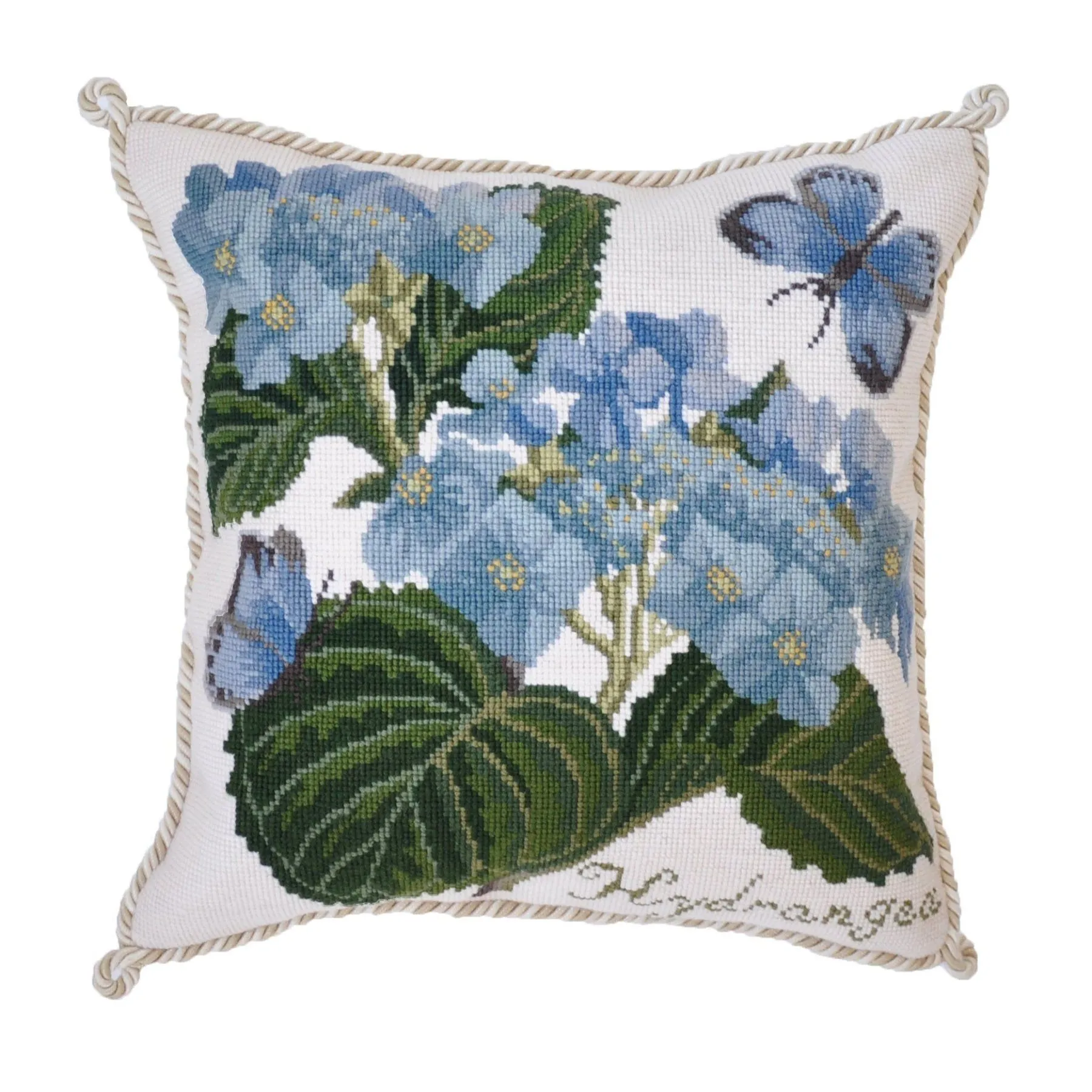 Hydrangea