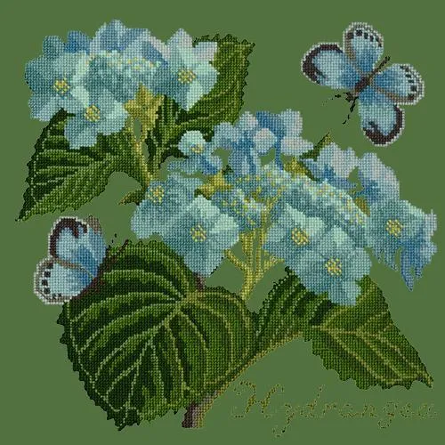 Hydrangea