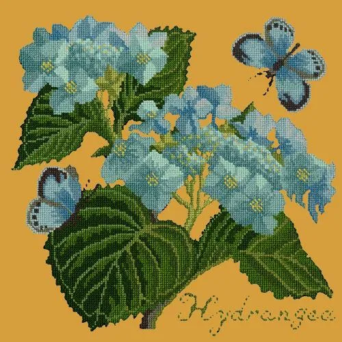 Hydrangea