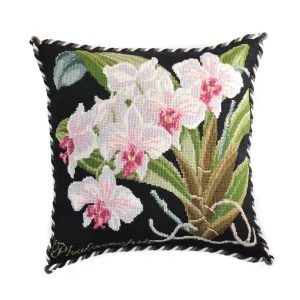 Phalaenopsis (Moth Orchid)