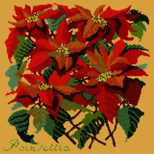 Poinsettia