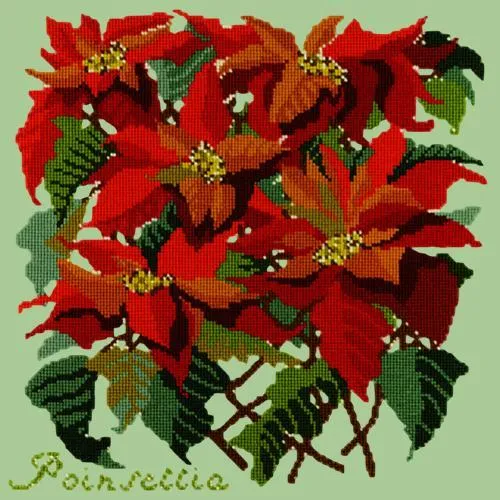 Poinsettia