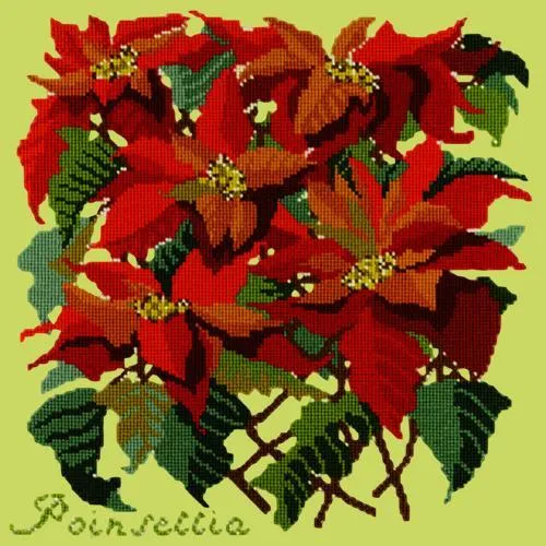 Poinsettia