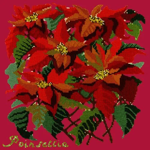 Poinsettia