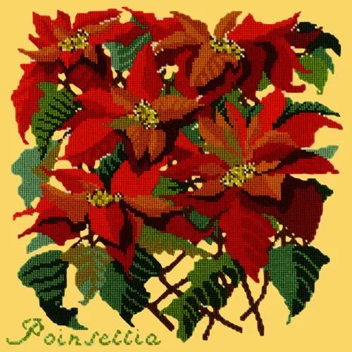Poinsettia