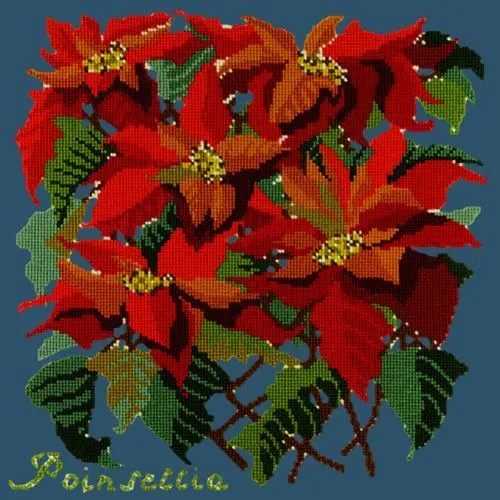 Poinsettia