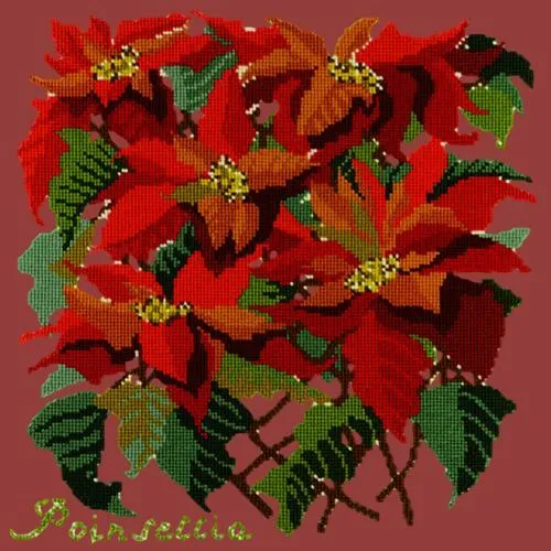 Poinsettia