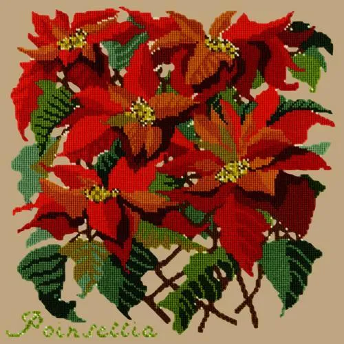 Poinsettia