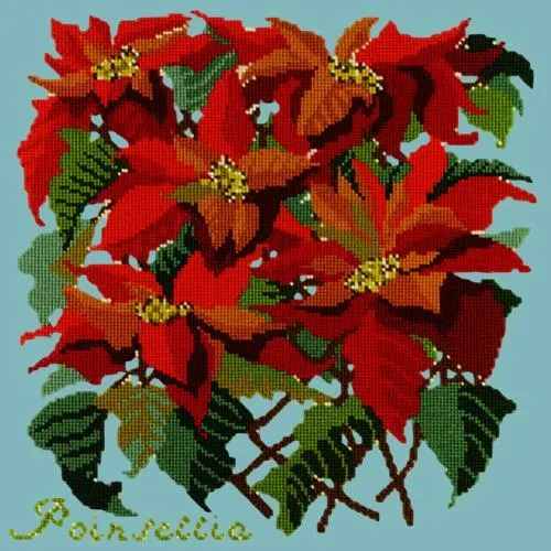 Poinsettia
