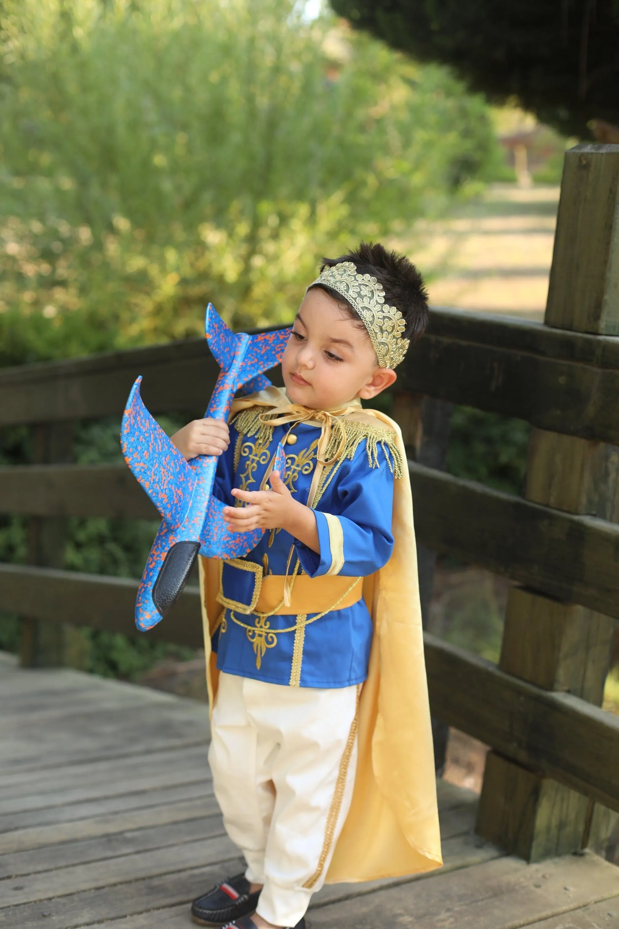 Prince Charming Blue Costume