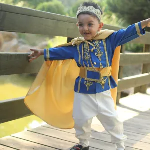 Prince Charming Blue Costume