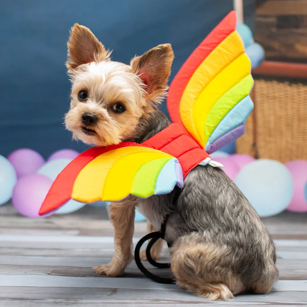 Rainbow Wing