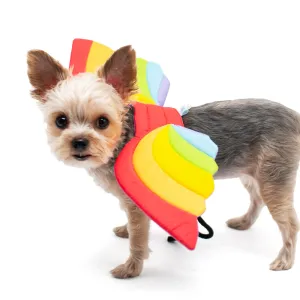 Rainbow Wing