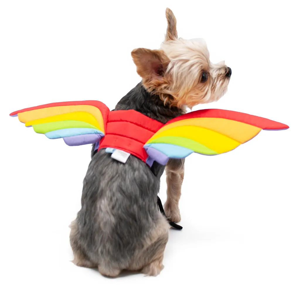 Rainbow Wing