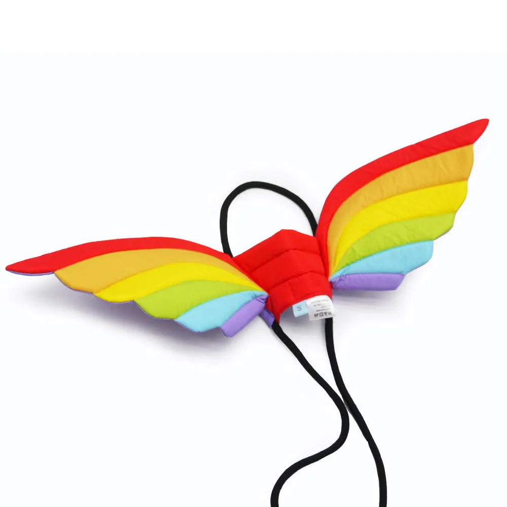Rainbow Wing
