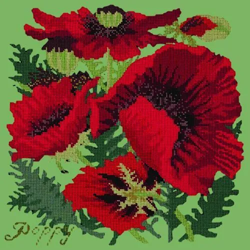 Red Poppy