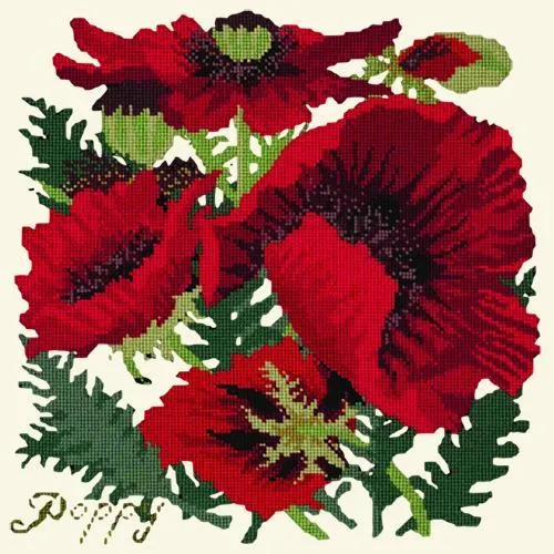 Red Poppy