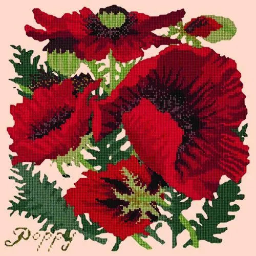 Red Poppy