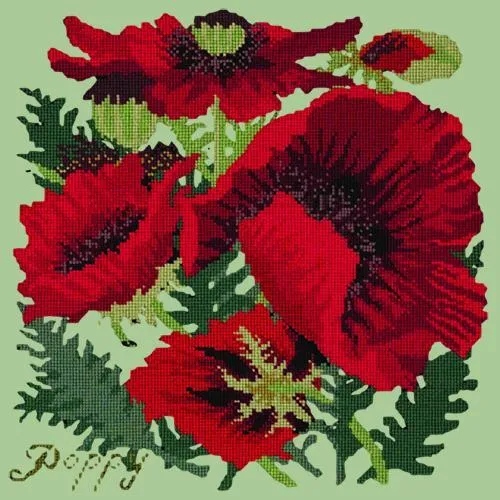 Red Poppy