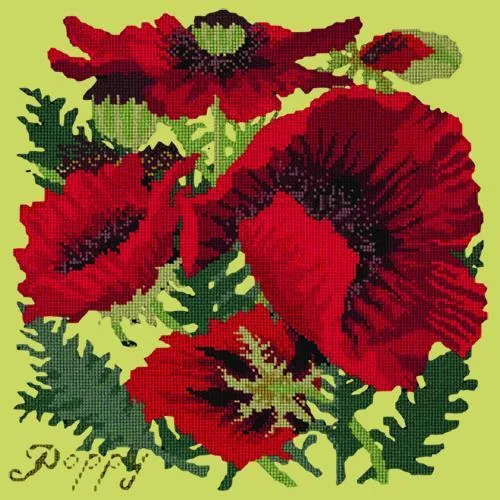 Red Poppy