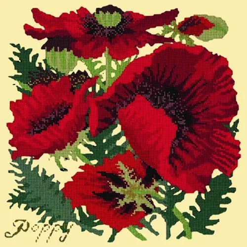 Red Poppy