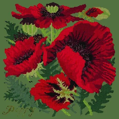 Red Poppy