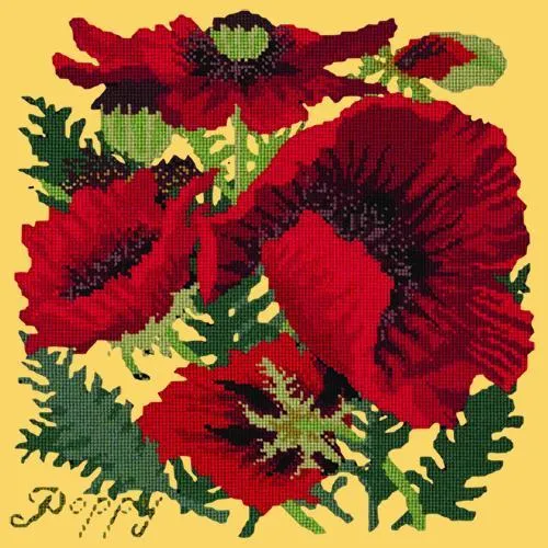 Red Poppy