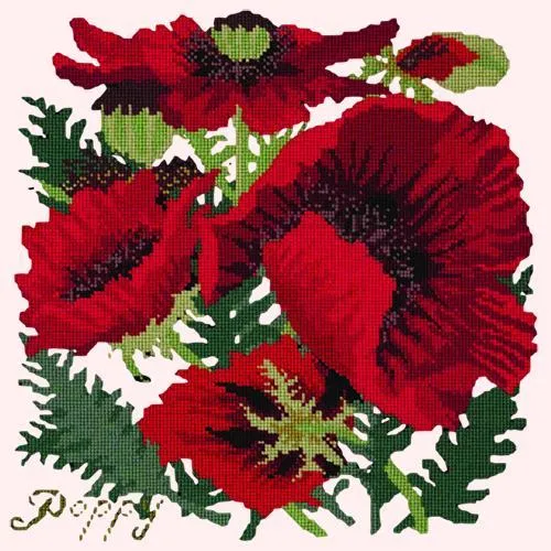 Red Poppy