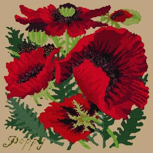 Red Poppy