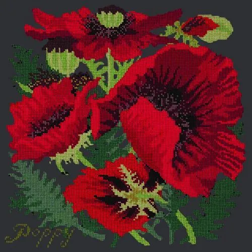 Red Poppy