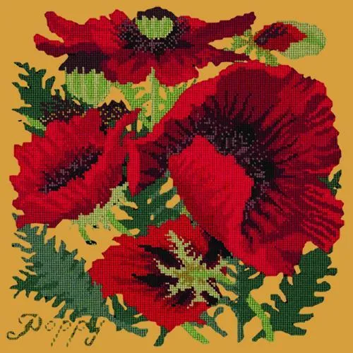 Red Poppy