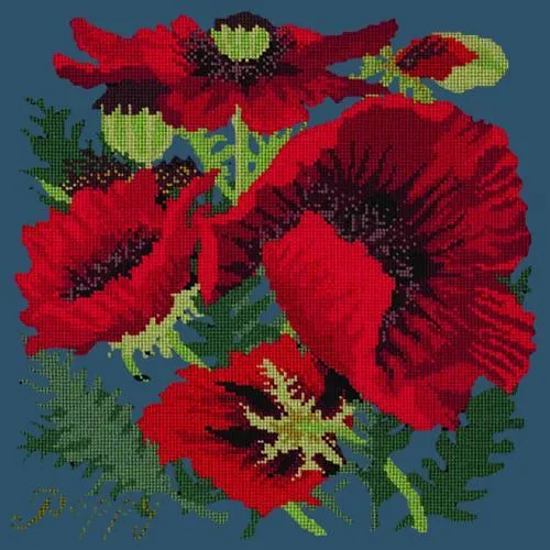 Red Poppy