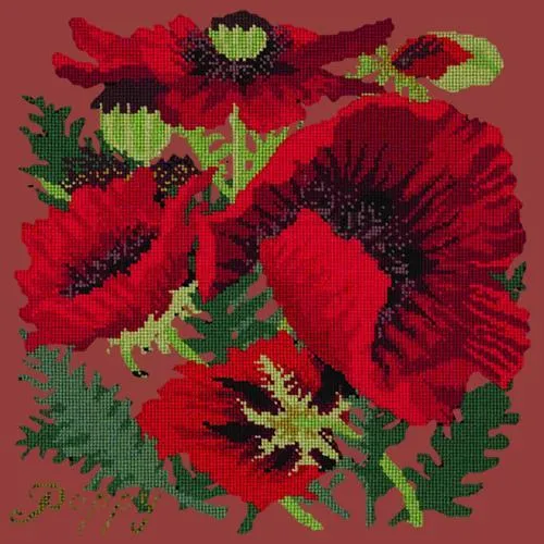 Red Poppy