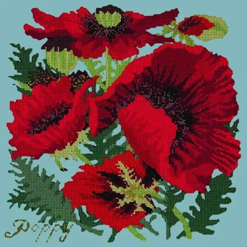 Red Poppy