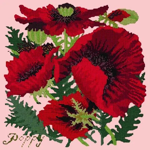 Red Poppy