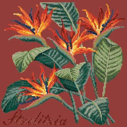 Strelitzia