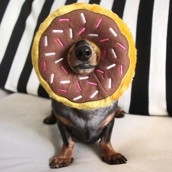 ZippyPaws Rainbow Donutz Plush Dog Toy